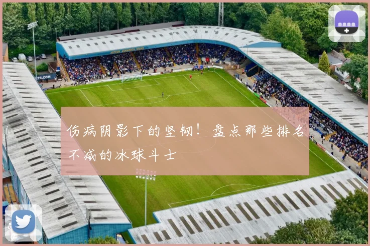 伤病阴影下的坚韧！盘点那些排名不减的冰球斗士